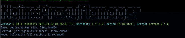 Nginx Reverse-Proxy Advanced Logging (Go Access for Nginx)