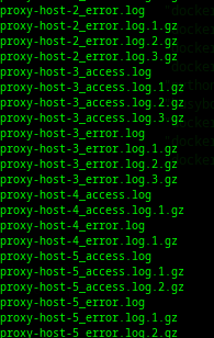 Nginx Reverse-Proxy Advanced Logging (Go Access for Nginx)