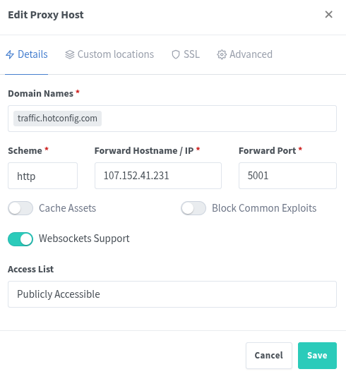 Nginx Reverse-Proxy Advanced Logging (Go Access for Nginx)