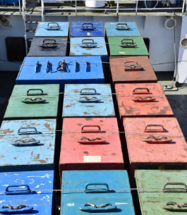 docker container auto backup