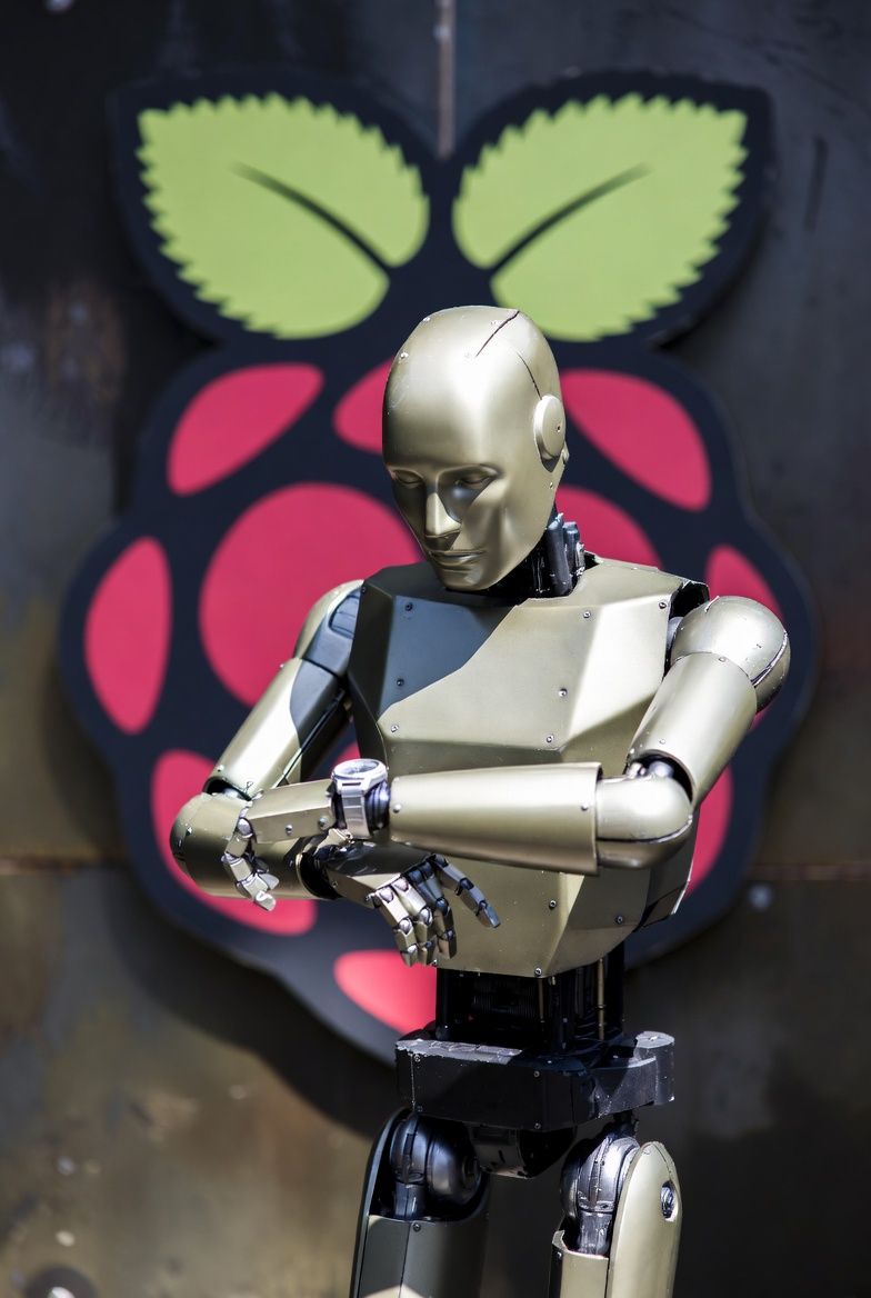 Raspberry Pi / ESP8266 / Rpi 2040 / Pico / Microchip/ Teensy .. More! Programmatically Getting the Clock Speed for a multitude of devices.