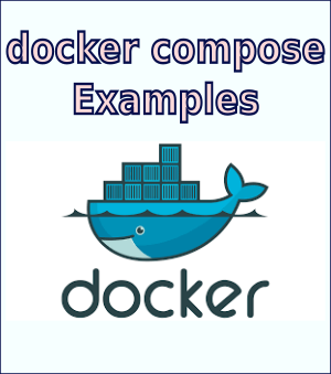 Docker Config Reference